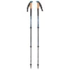 Black Diamond - Alpine C Cork WR Trek Poles - Bâtons De Randonnée -Magasin D'Équipement De Plein Air black diamond alpine c cork wr trek poles batons de randonnee