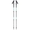 Black Diamond - Women's Trail Pro Shock TPoles - Bâtons De Randonnée 1 Black Diamond - Women's Trail Pro Shock TPoles - Bâtons De Randonnée -Magasin D'Équipement De Plein Air black diamond womens trail pro shock tpoles batons de randonnee