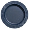 United By Blue - Stoneware Dinner Plate - Conservation De La Nourriture
